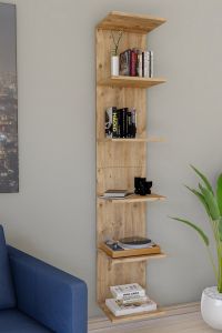 Seinariiul Lazas,meetamm