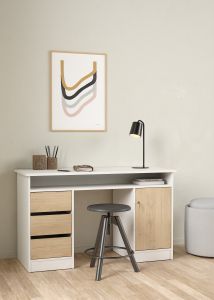 Kirjutuslaud Function plus, Jacksoni tamm/valge