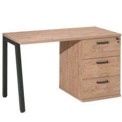 HOME SPACE HOS2SPACE KIRJ.LAUD 120CM KULDNE TAMM¤