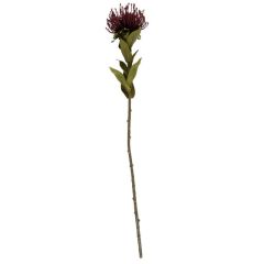 KUNSTLILL PROTEA SMALL PT3904RD H59,7CM BURGUNDIA PUNANE