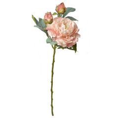 KUNSTLILL 6PL0332P ROOS 62cm ROOSA