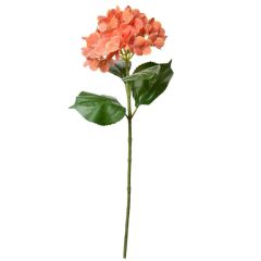KUNSTLILL HORTENSIA 5PL0137O 68cm ORANZ