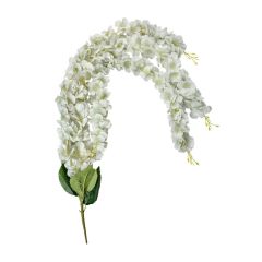 KUNSTLILL 6PL0388W 108cm H.ROHELINE