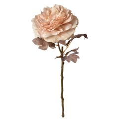 KUNSTLILL ROOS 6PL0334 60cm H.ROOSA