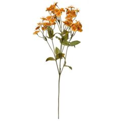 KUNSTLILL 6PL0384Y 63cm KOLLANE