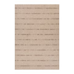 Esikuvaip DAWN FOAM-4, 80x300cm