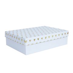 Karp ELSA 29x21cm, kaanega kuld/hõbe, va