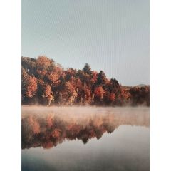 Seinapilt WALLY 60x80cm, maastik järve ä