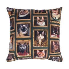 Padi HOLLY 45x45cm, kassid raamis