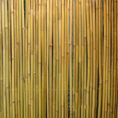 Rull bambusaed IN GARDEN D14/16mm, 1x3m