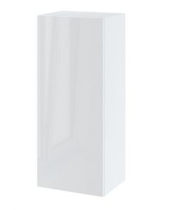 Köögi seinakapp Campari W 45-1080, 45x32xK108 cm, valge läikega
